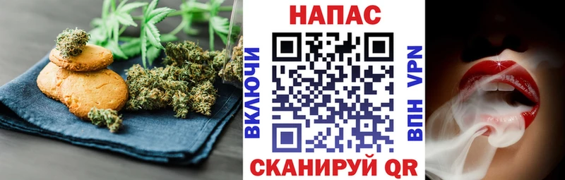 Купить закладки  Малгобек  Cannafood конопля 