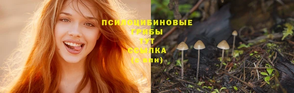 ALPHA-PVP Магас