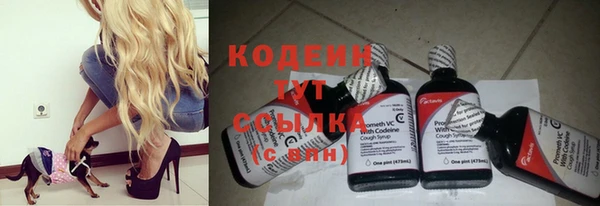 дживик Мегион