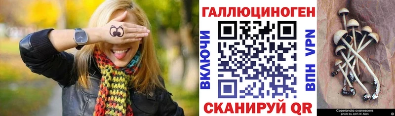 Купить закладки  Малгобек  Псилоцибиновые грибы мухоморы 